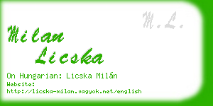 milan licska business card